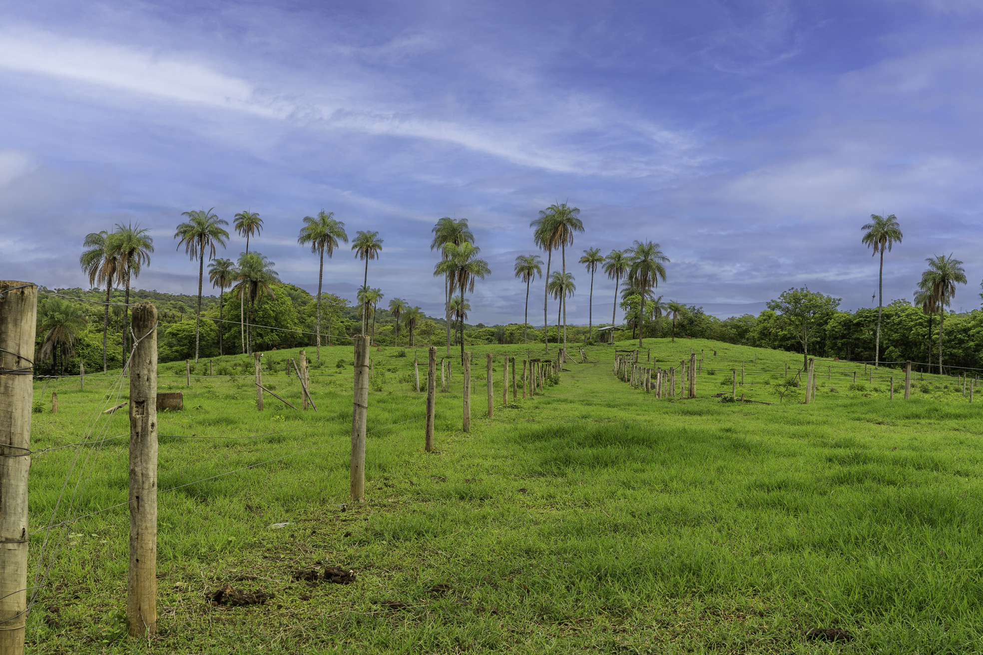 DSC07405-Aprimorado-NR-Editar